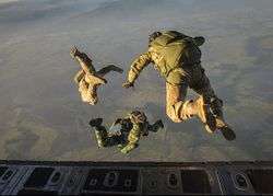 Skydiving Fallschirmspringen.jpg