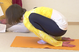 Prapada Malasana 2734 Variation 1.png