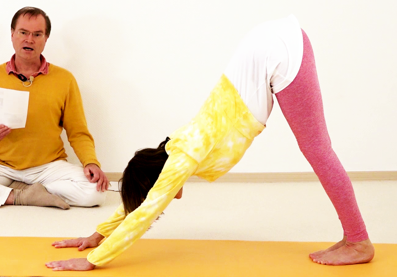Datei:298-Bhu-Dharasana.png