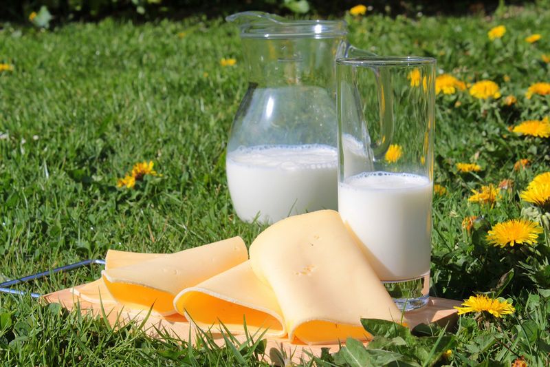 Datei:Milch Käse Wiese Glas voll Löwenzahn Blume milk.jpg