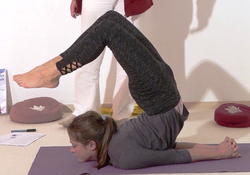In die fortgechrittene Heuschrecke helfen - Yoga Vidya Bodywork Shalabhasana 6.png