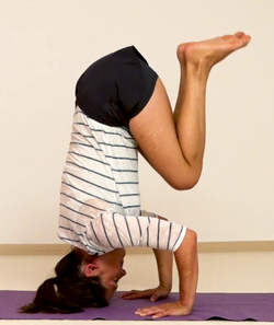 Von der Kraehe in den Kopfstand 3.png