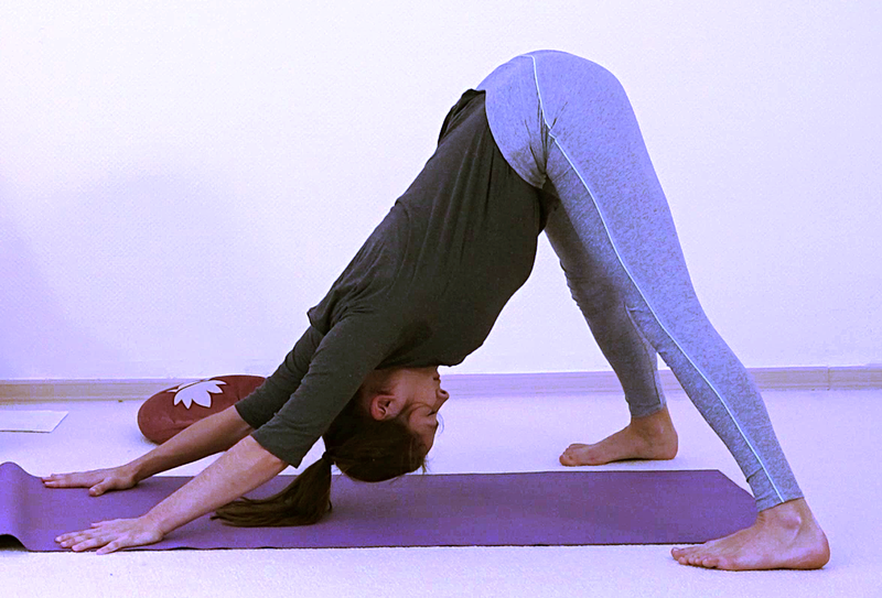 Datei:1222-Prasarita-Pada-Adho-Mukha-Shvanasana.png