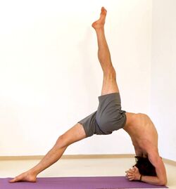 Umgekehrte Stockhaltung Dvipadaviparitadandasana - Yoga Pose 7.jpg