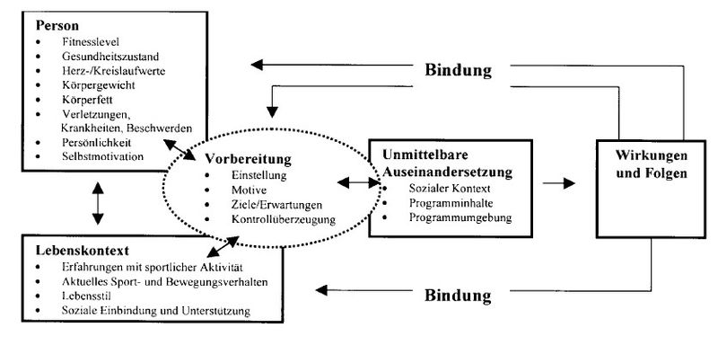 Bindungs- bzw. Drop-out-Komponenten (nach Woll & Wydra, 2005, S. 84).jpg
