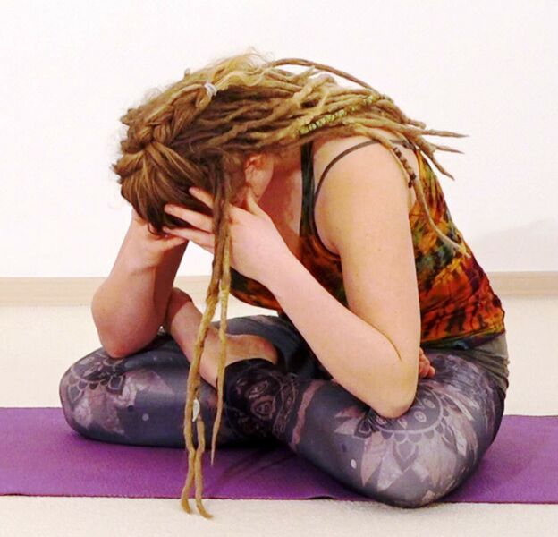 Datei:Purva Tarkasana AL 2424.jpg