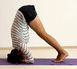 Halber Kopfstand - Yoga Asana 3.jpg