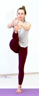 371-Dvi-Hasta-Padasana05-12-16h14m59s922.png