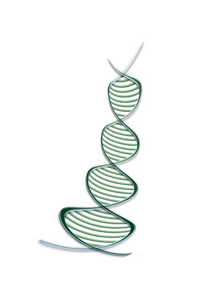Datei:Aminosäure-DNA-Körper.jpg
