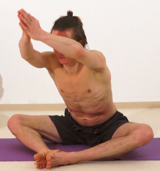 Datei:AL 2053 Avaghatasana dynamisch hoch.jpg