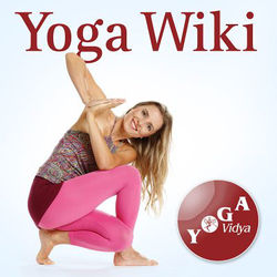 Yoga Wiki.jpg