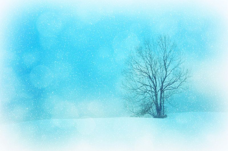 Datei:Winter, Schneelandschaft.jpg