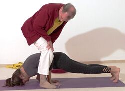 In den Pfau helfen helfen - Yoga Vidya Bodywork Mayurasana 5.jpg
