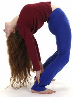 Chakrasana-62.jpg