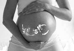 Schwangerschaft Ultraschall.jpg