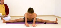 Weitwinkel-Vorwaertsbeuge - Yoga Pose Upavishtha Konasana 2.jpg