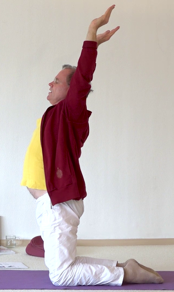 Datei:Kamel-Haltung Kamel-Pose Kamel-Stellung 1.png