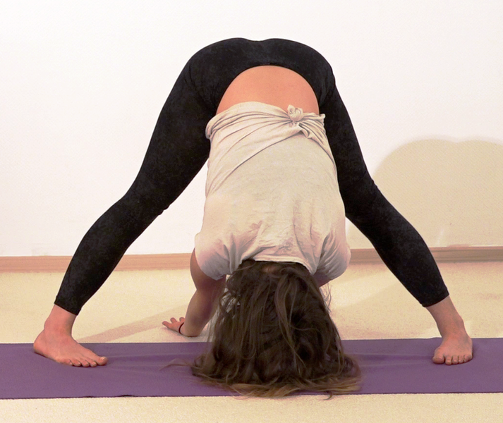 Datei:Shundasana AL 2760.png