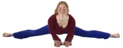 (6) ... bis die Hüften ganz auf dem Boden sind. Dann brauchst Du nur noch Bauch und Brust auf den Boden zu setzen und die Arme ganz nach vorne auszustrecken.