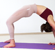 375-Dvi-Hasta-Chakrasana05-12-16h19m59s209.png