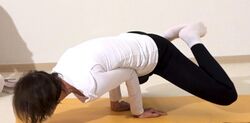Pfau Yoga Stellung mit geoeffneten Ellbogen 3.jpg