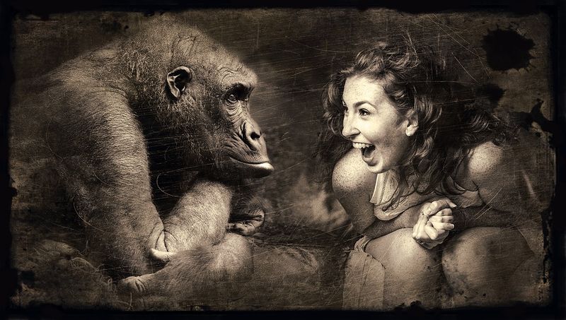 Datei:Gorilla Frau Lachen Freude Gelassenheit Nachdenklich.jpg
