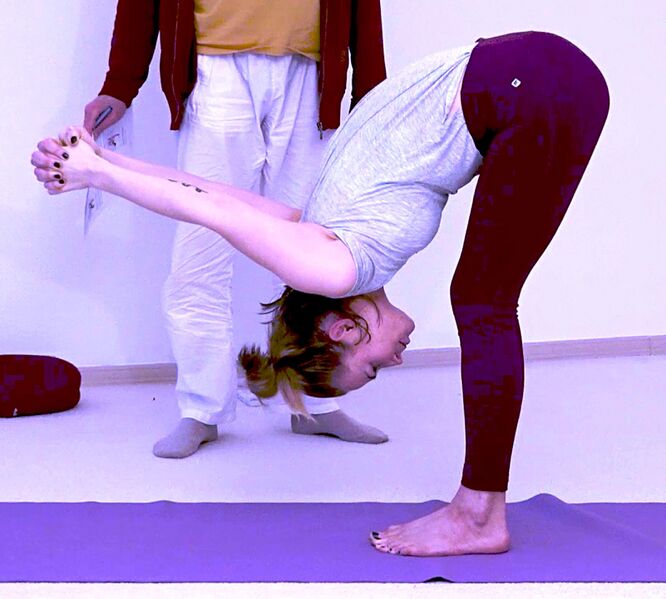 Datei:228-Baddha-Hasta-UttanasanaBaddha-Hastottanasana.jpg