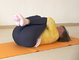 Shvottanasana AL 2538 Variation 2.png