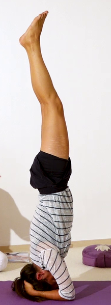 Datei:Yoga Kopfstand.png