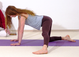 1115-Parshva-Pada-Utthita-Chaturanga-Dandasana2021.png