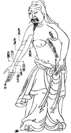 Meridian.Akupunktur.Ming.Dynastie.jpg