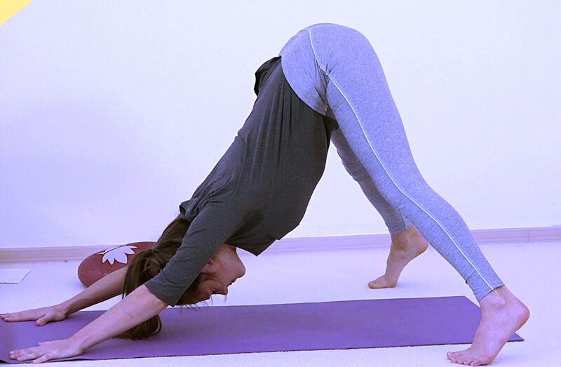 Datei:1200-Prapada-Prasarita-Pada-Adho-Mukha-Shvanasana.jpg