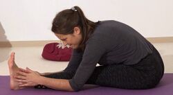 Schnuersenkel - Yoga Asana 2.jpg