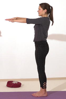Delta-Muskeln staerken mit Yoga-Uebungen 4 im Stehen.png