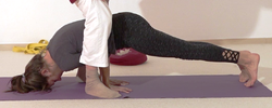 In den Pfau helfen helfen - Yoga Vidya Bodywork Mayurasana 4.png