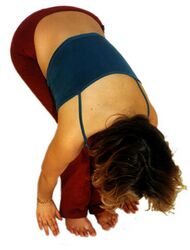 Ferse senken, beide Beine nach vorne, Hände auf den Boden. Beine gestreckt oder gebeugt, je nach Flexibilität.