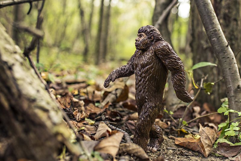 Datei:Bigfoot-Yeti-Wald.jpg