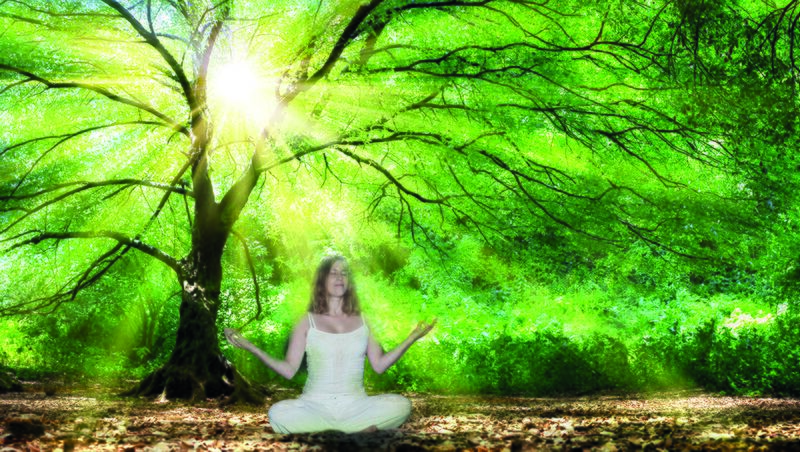 Datei:Wald Baum Meditation Lichtspiele Strahlen.jpg