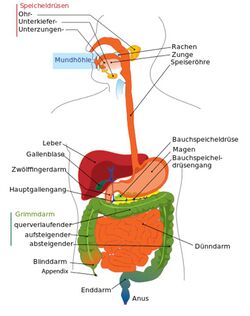 474px-Digestive system diagram de.svg.jpg