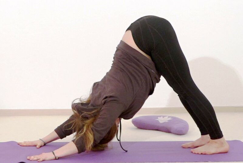 Datei:Rkshasana AL 2432 Variation 2.jpg