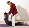 Fortgeschrittene Kobra Hilfestellungen - Yoga Vidya Bodywork 3.png