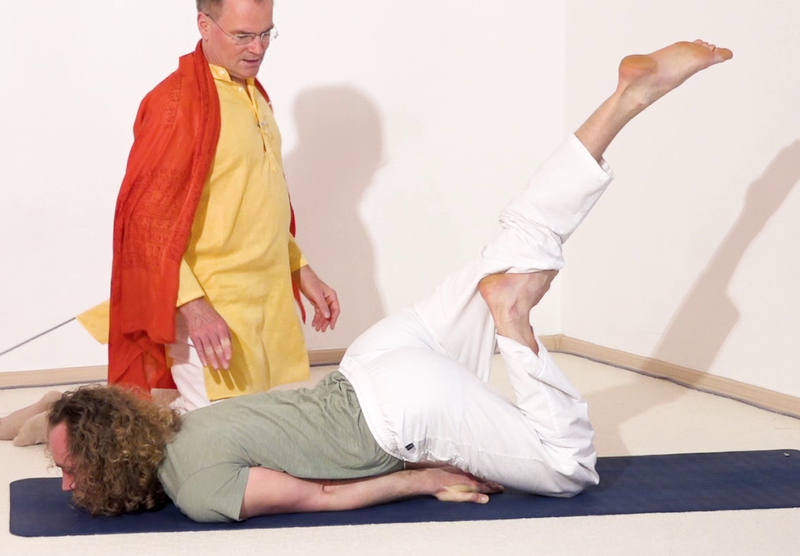 Datei:Ein-Bein-Heuschrecke 3 mit gestuetztem Bein.png