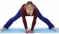 Yoga-Vidya0871tifb.jpg