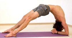Umgekehrte Stockhaltung Dvipadaviparitadandasana - Yoga Pose 4.jpg