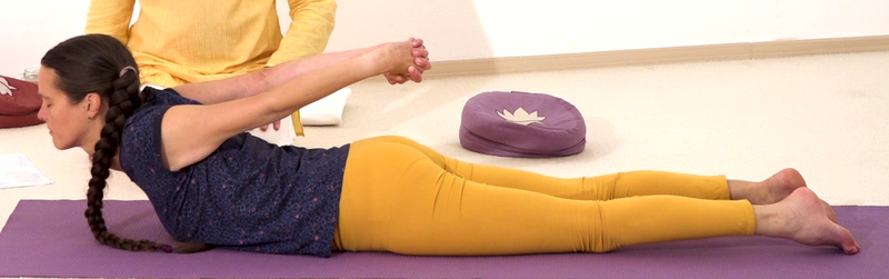 Datei:Kobra bei Rueckenbeschwerden 1.png