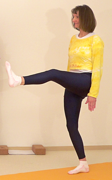 Datei:2803-Vama-Shuddha-Padasana.png