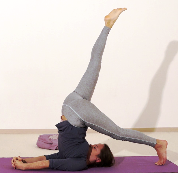 Datei:534-Eka-Pada-Sarvangasana.png