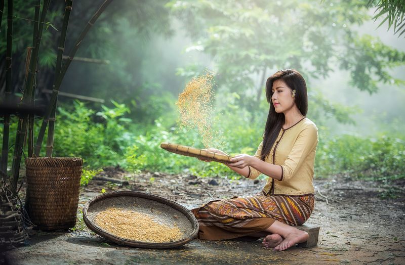 Datei:Reis Asien Kochen.jpg