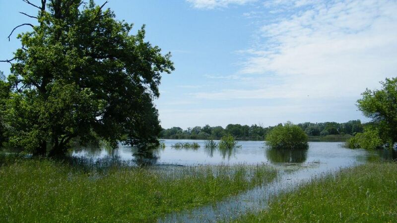Datei:Ueberschwemmung-natuerliche-Flussaue.jpg