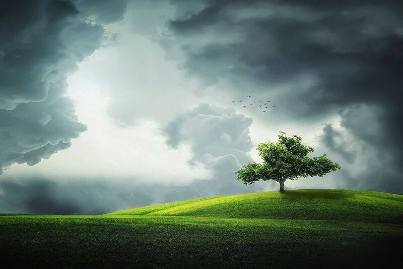 Datei:Beständigkeit Baum Landschaft Wolken Vögel.jpg